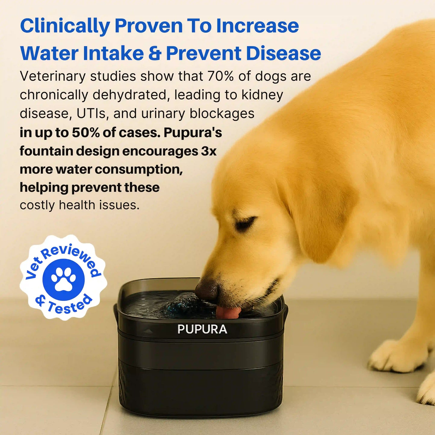 Pupura FreshFlow™ 2.4-Gallon Dog Water Fountain Kit