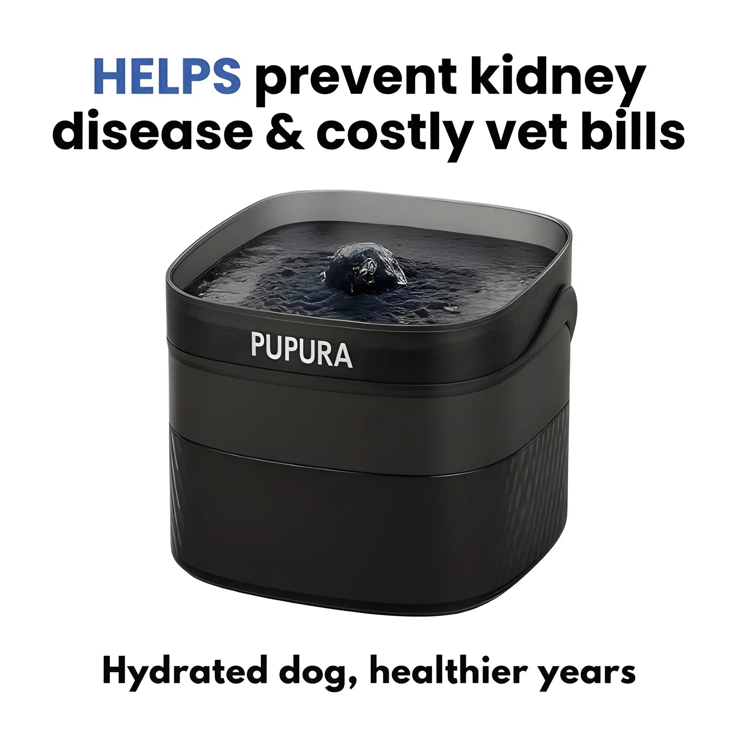 Pupura FreshFlow™ 2.4-Gallon Dog Water Fountain Kit