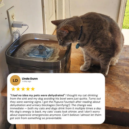 Pupura FreshFlow™ 2.4-Gallon Dog Water Fountain Kit