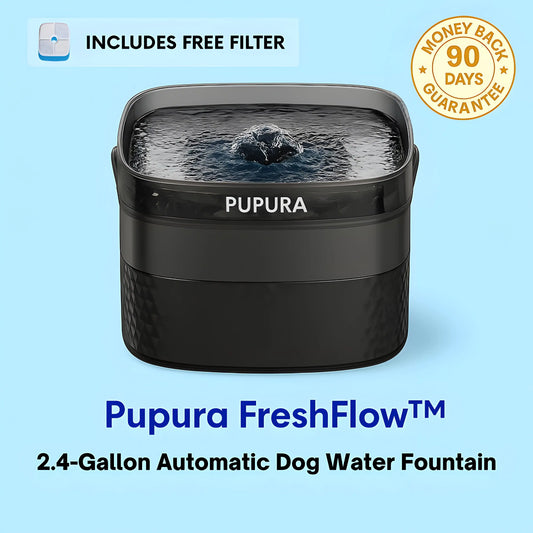 Pupura FreshFlow™ 2.4-Gallon Dog Water Fountain Kit