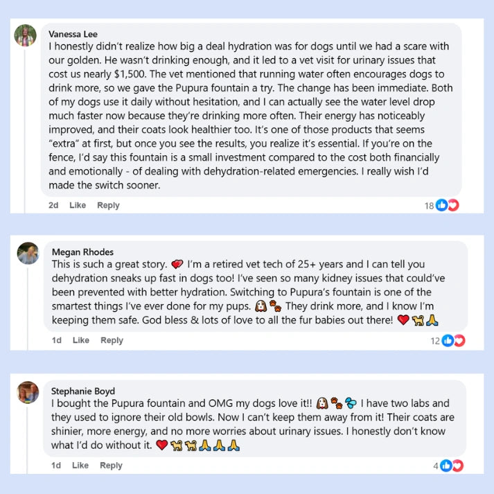 Pupura FreshFlow™ 2.4-Gallon Dog Water Fountain Kit