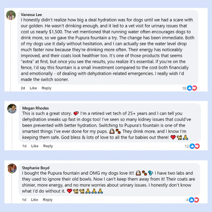 Pupura FreshFlow™ 2.4-Gallon Dog Water Fountain Kit